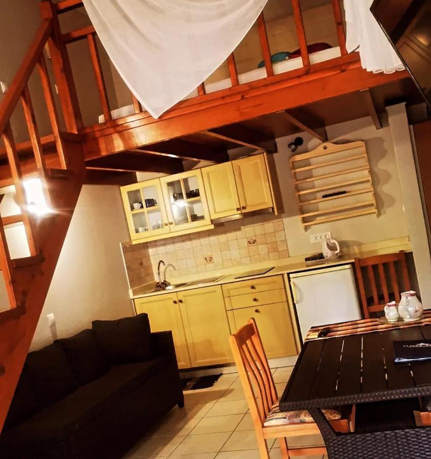 Apartment Vlycha *